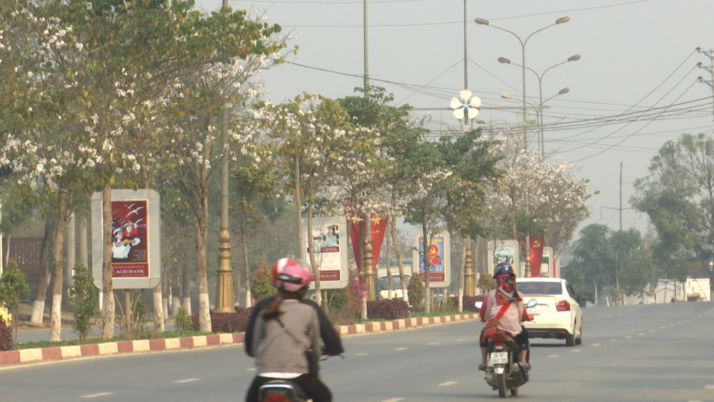 Hoa tháng 3 ở thành phố Sơn La