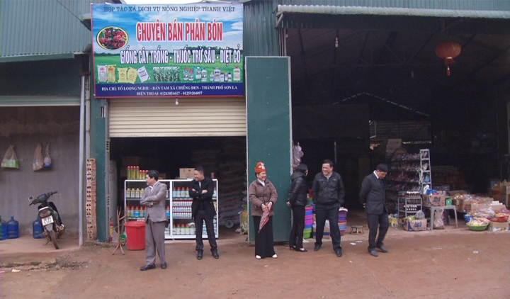 Xã Chiềng Đen : ra mắt HTX dịch vụ nông nghiệp Thanh Việt