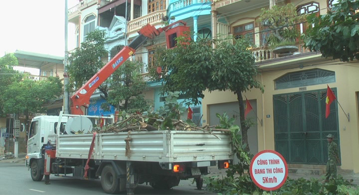 Công ty TNHH MTV Môi trường đô thị Sơn La tiến hành cắt, tỉa cây xanh đảm bảo mỹ quan đô thị
