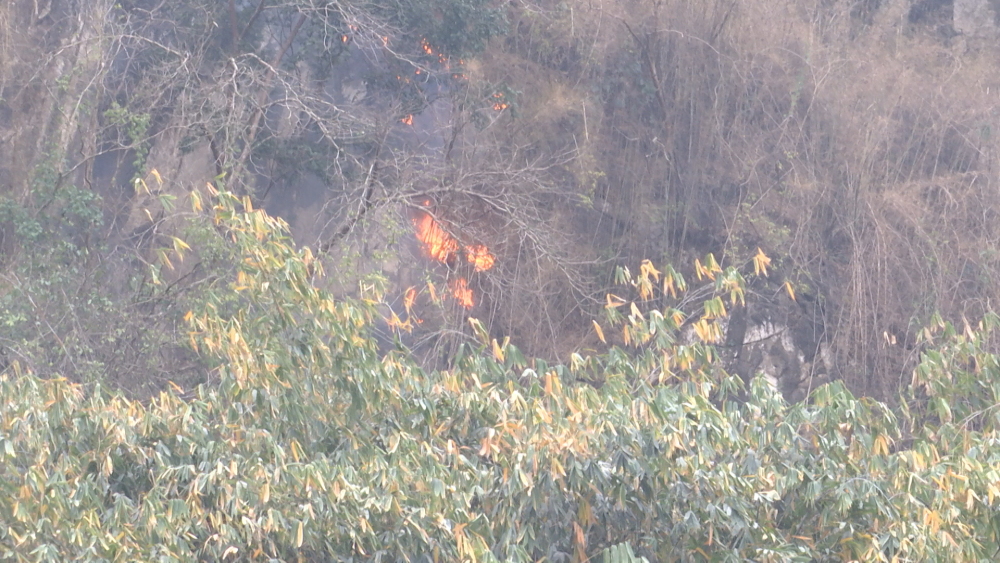 Thành phố xảy ra 3 vụ cháy đồi  rừng do đốt nương