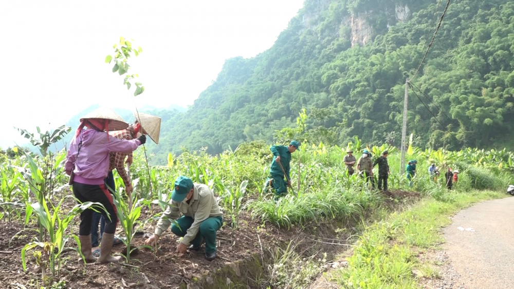 Phường Chiềng An tổ chức trồng cây nhân dịp 132 năm ngày sinh Chủ tịch Hồ Chí Minh