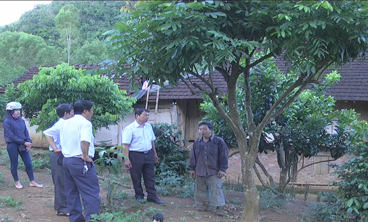 Sở Nông nghiệp và phát triển nông thôn tỉnh kiểm tra tình hình sản xuất vụ Đông Xuân 2015-2016 địa bàn thành phố Sơn La