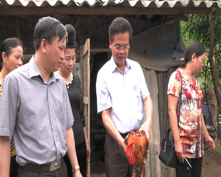 Đồng chí Đỗ Văn Trụ phó chủ tịch UBND Thành phố kiểm tra Đề án nuôi gà thả vườn khu Noong Ngụa, bản Hẹo phường Tô Hiệu