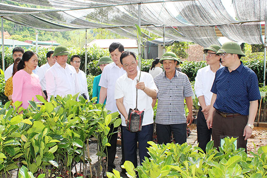 Đồng chí Hoàng Văn Chất, Bí thư tỉnh ủy, Chủ tịch HĐND tỉnh, thăm và làm việc các hợp tác xã của Mai Sơn và Thành phố