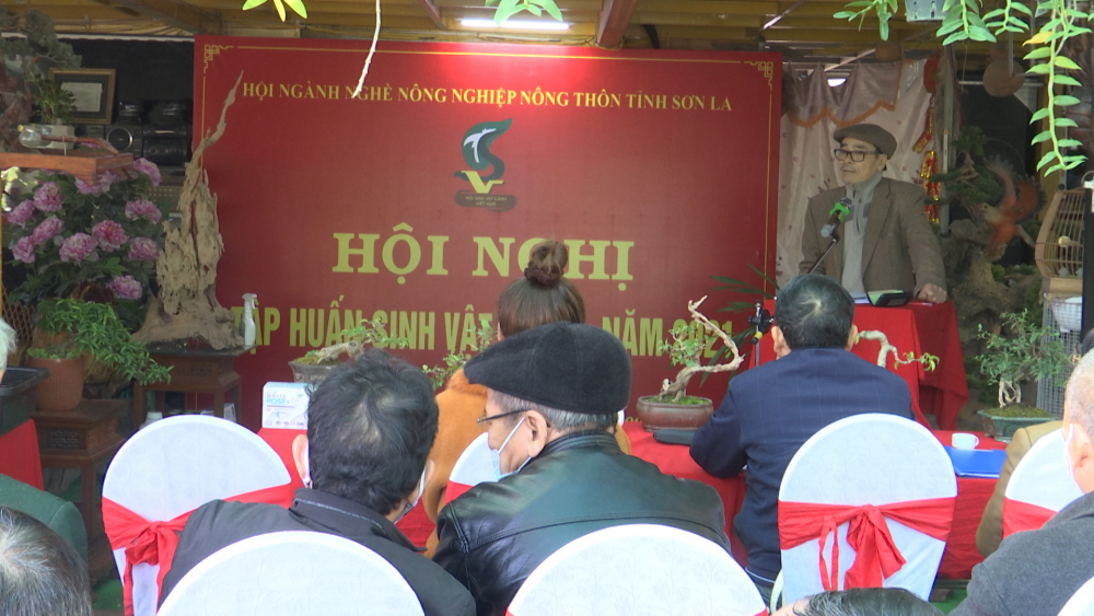 Hội Ngành nghề Nông nghiệp – Nông thôn tỉnh tổ chức Hội nghị tập huấn sinh vật cảnh năm 2021