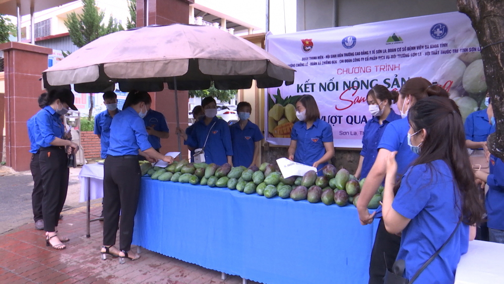 Thành phố nỗ lực tiêu thụ sản phẩm xoài trước khó khăn do ảnh hưởng của dịch Covid-19