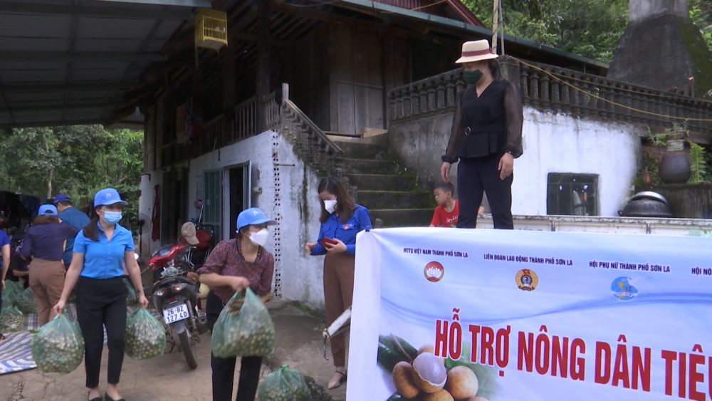 Thành phố nhiều hoạt động tiêu thụ nông sản cho bà con nông dân