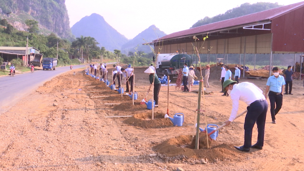 Thành phố phấn đấu trồng 10.000 cây hoa Ban trong năm 2021